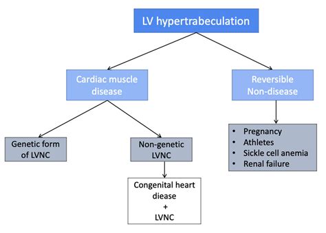 lv non compaction treatment|non compaction cardiomyopathy guidelines.